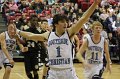 043-DH201100204-BHS