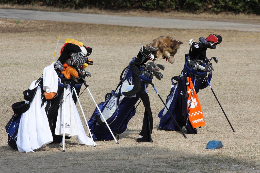047-DH20110314-Golf.JPG