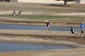165-DH20110314-Golf