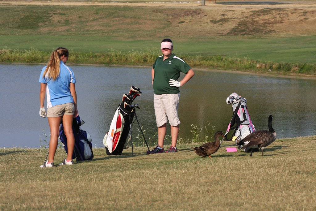 130-DH20100923.JPG
