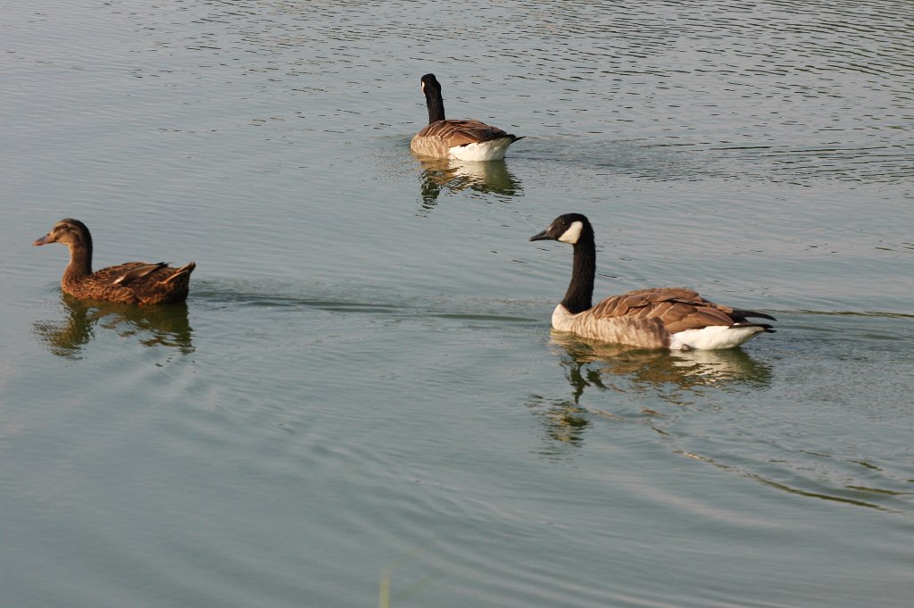 145-DH20100923.JPG
