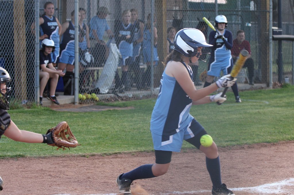 097-DH20110411-Dixie.JPG