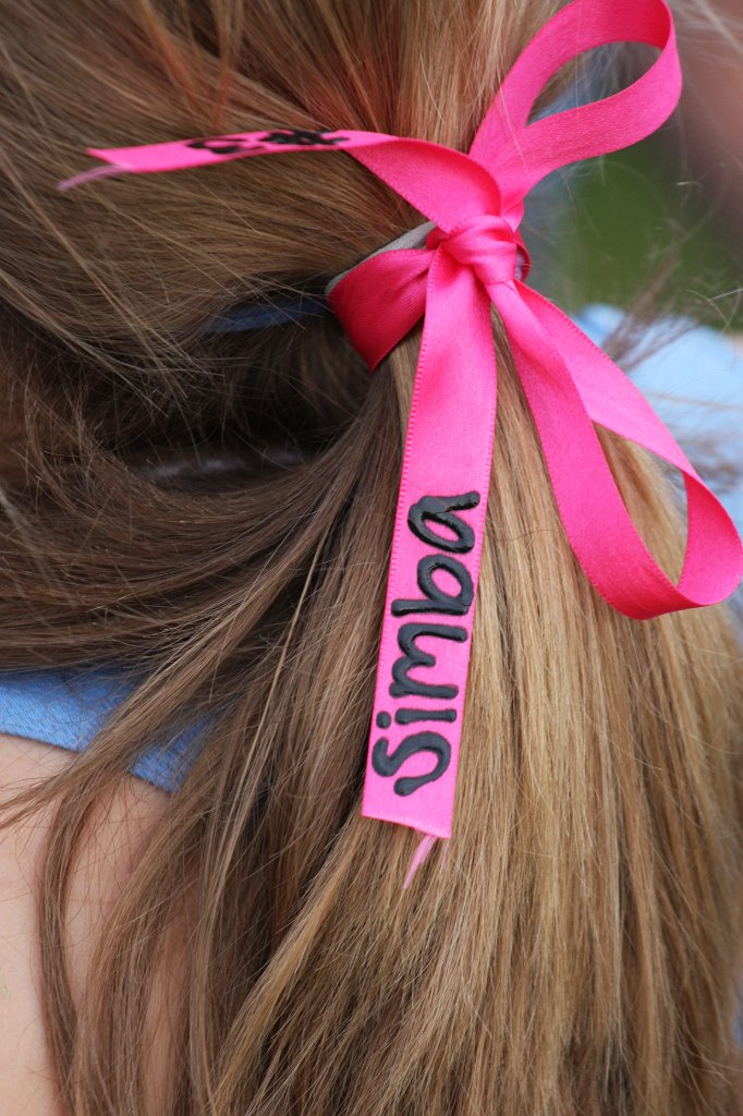 219-DH20110421-SeniorDayCCES.JPG