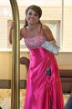 245-DH20110429-Starshine