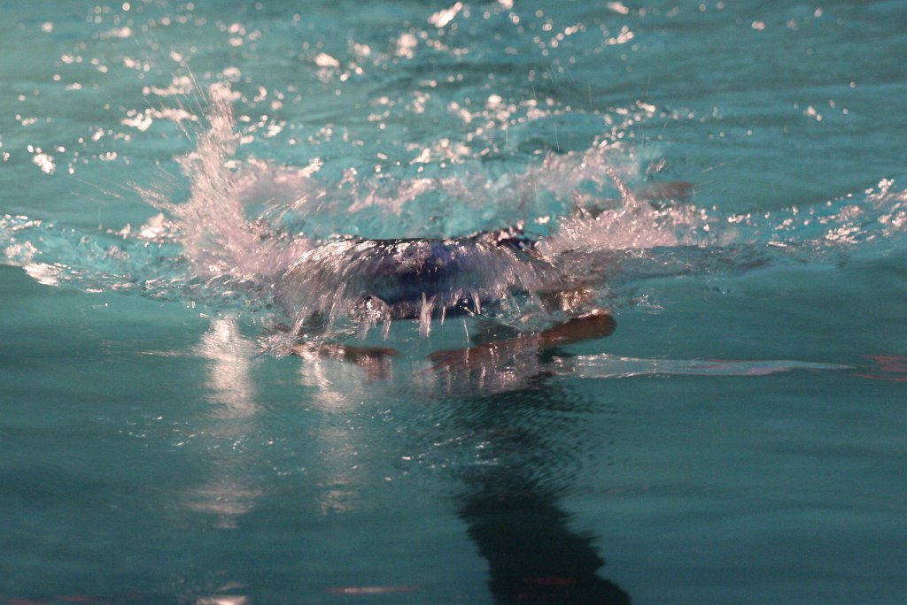 117-DH20100831.JPG