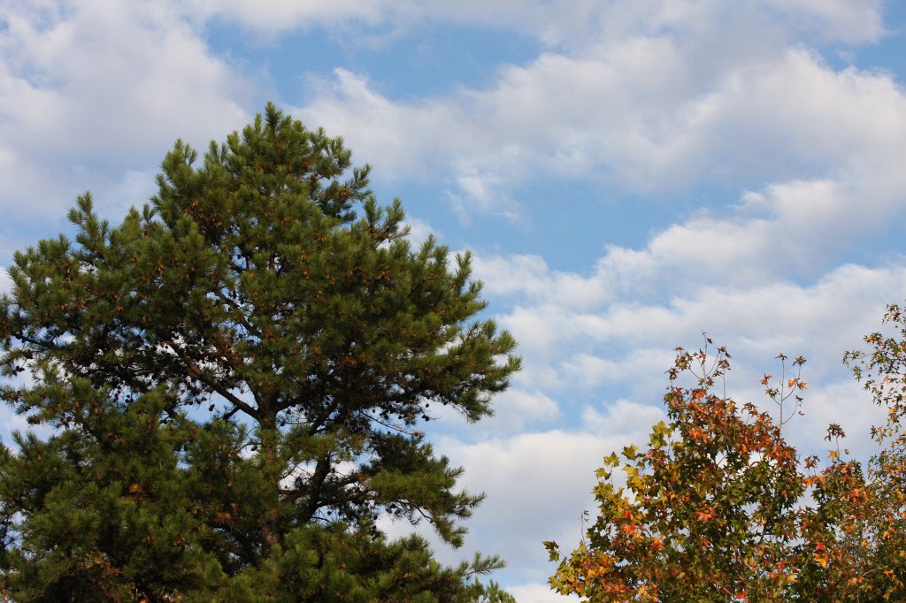 127-DH20101102.JPG