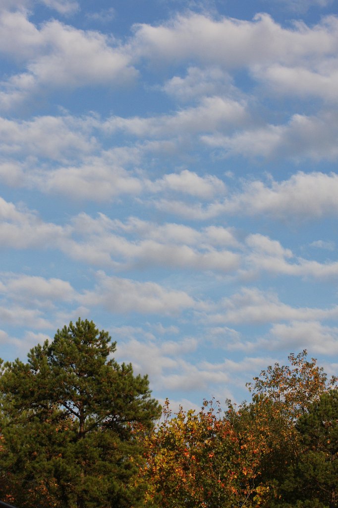 139-DH20101102.JPG