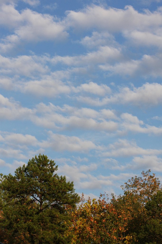 140-DH20101102.JPG