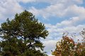 127-DH20101102