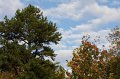 133-DH20101102