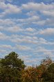 139-DH20101102