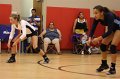 066-DH20100826-HHS