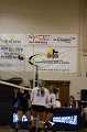 012-DH20101007