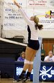 013-DH20101007