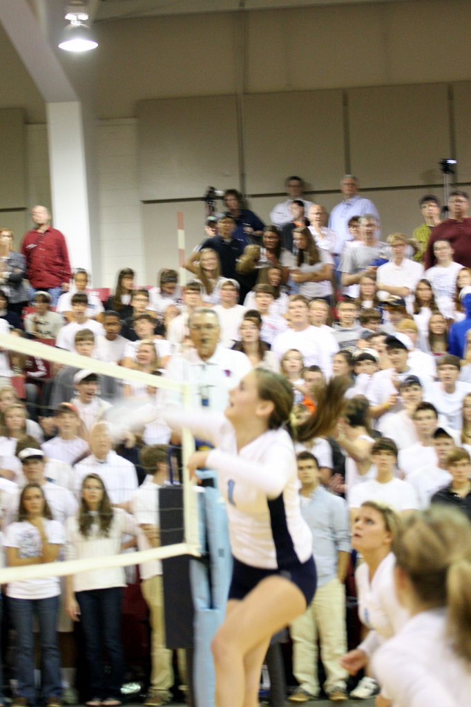 104-DH20101103-StJoe.JPG