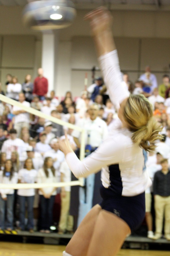 111-DH20101103-StJoe.JPG