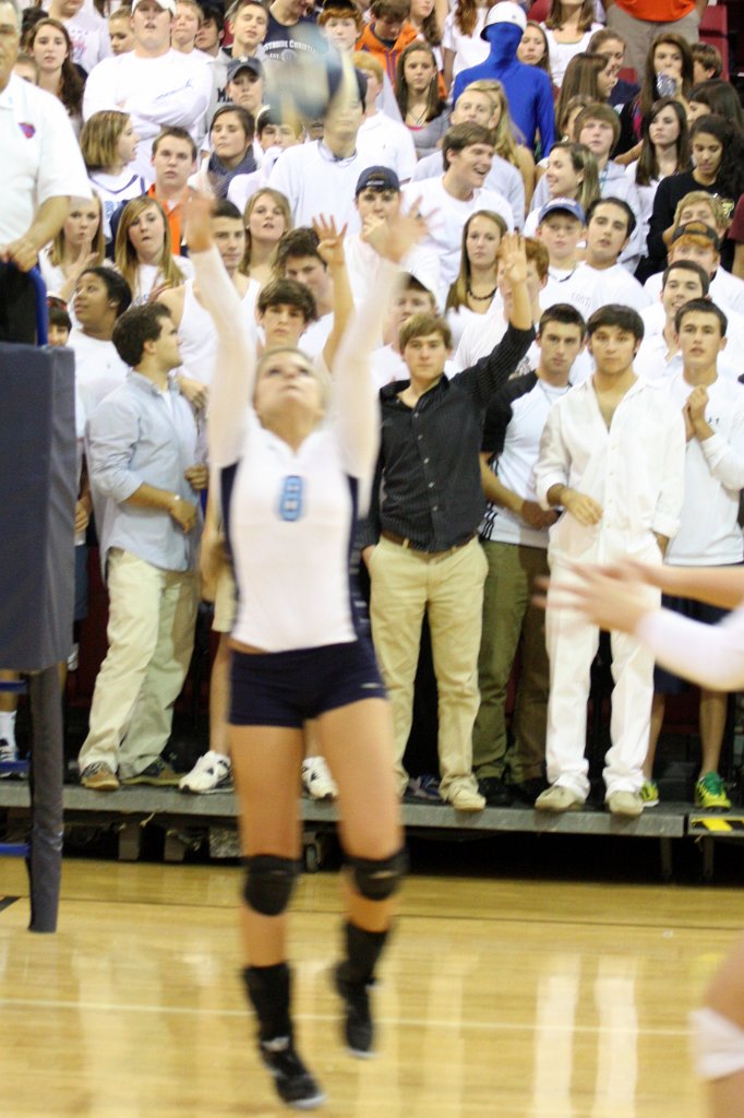 115-DH20101103-StJoe.JPG